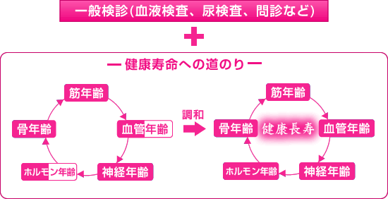 健康寿命への道のり