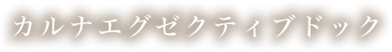 カルナエグゼクティブドック