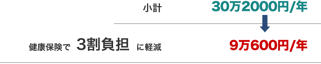 小計「30万2000円/年」｜健康保険で3割負担に軽減「9万600円/年」